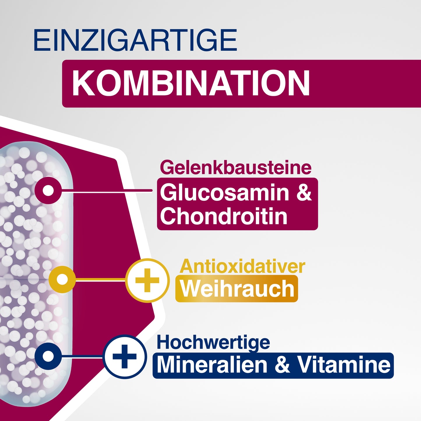 GELENCIUM Glucosamin Chondroitin